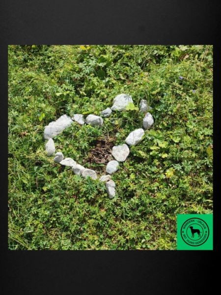 Stone Heart
