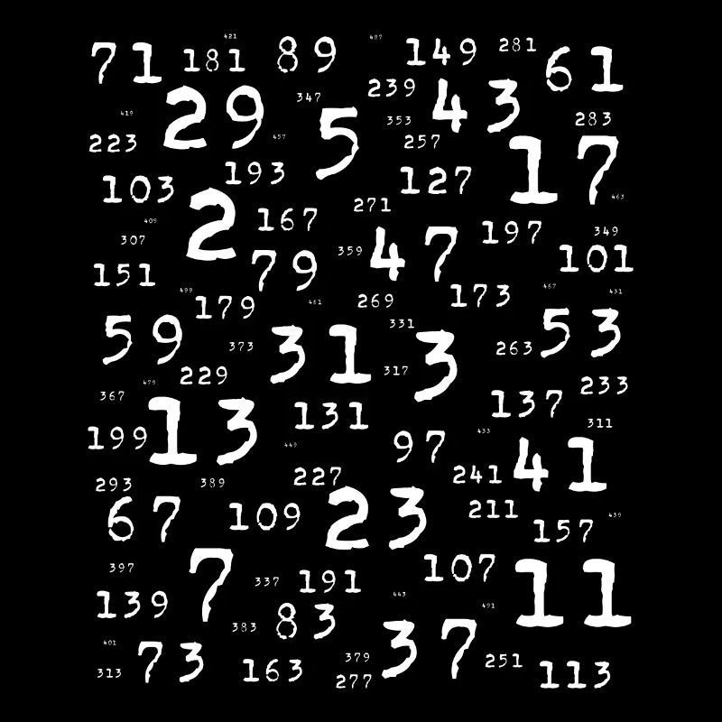 Prime numbers math teacher nerd student logic school