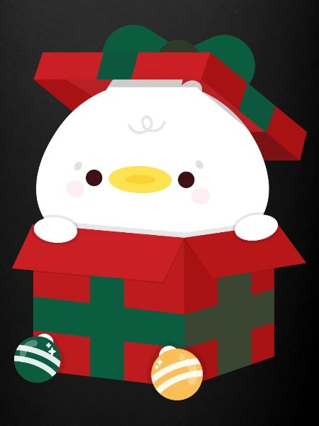 Duck Christmas Present