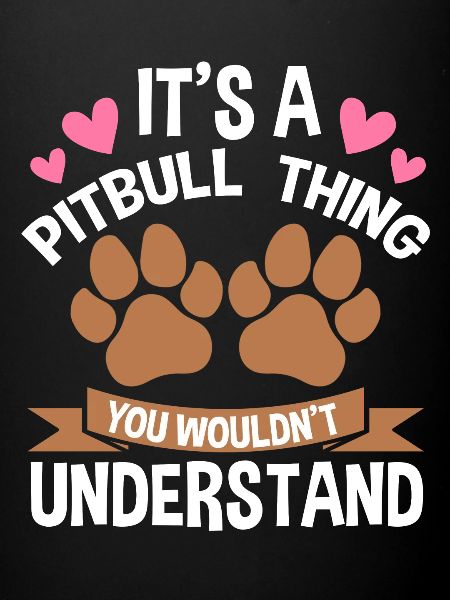 Pitbull Pitbull chien cadeau