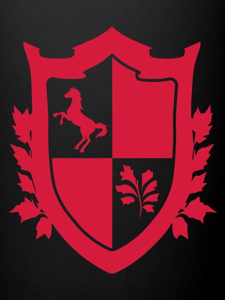 Middle Ages shield
