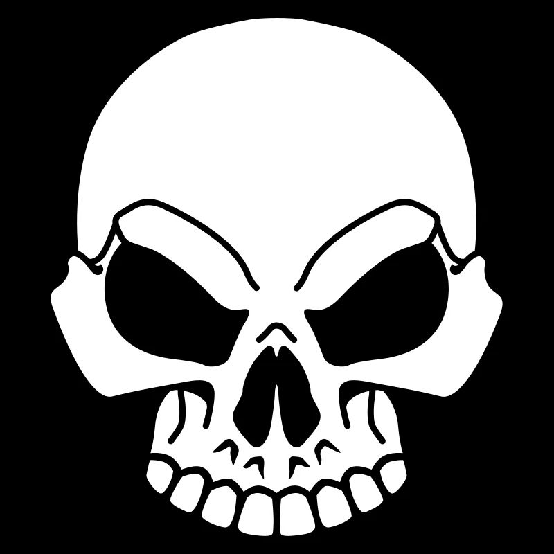Pirate skull