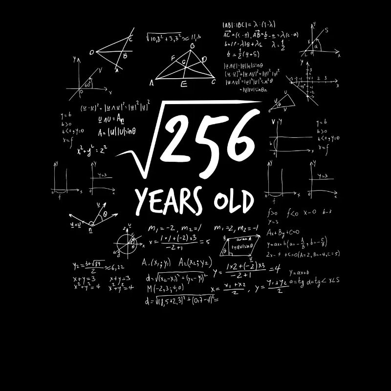 16ème anniversaire de 256 math nerd