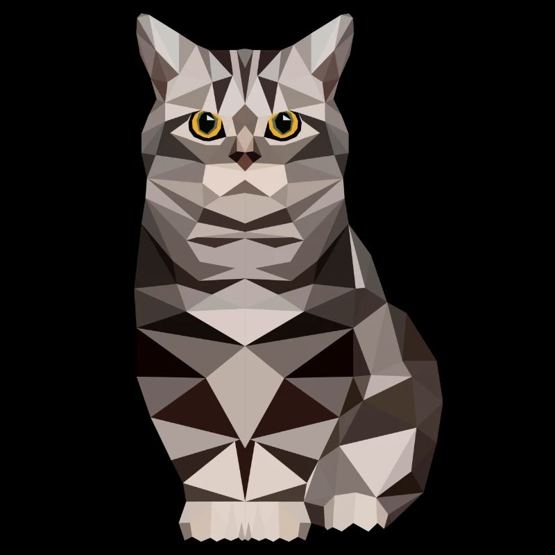 polygone maison chat chaton chat