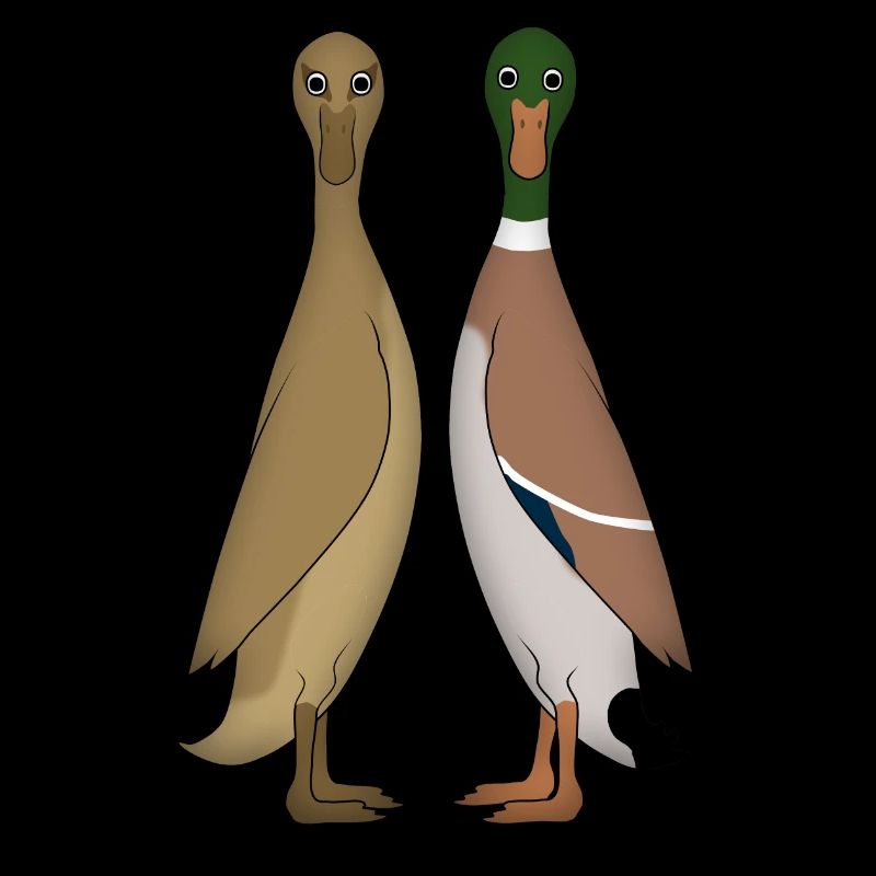 Two barrel duck head front