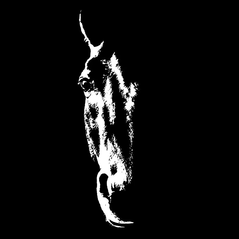 Equus Ferus - White