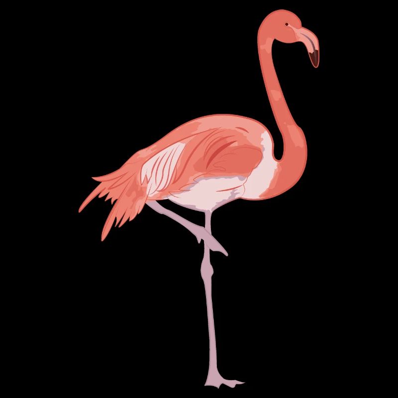 flamingo