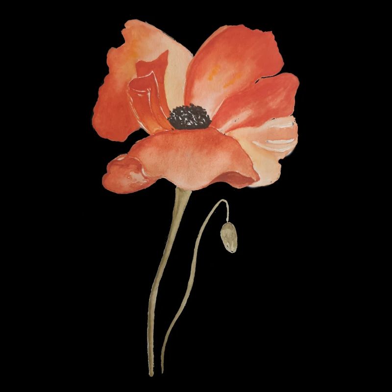 Aquarell Mohn