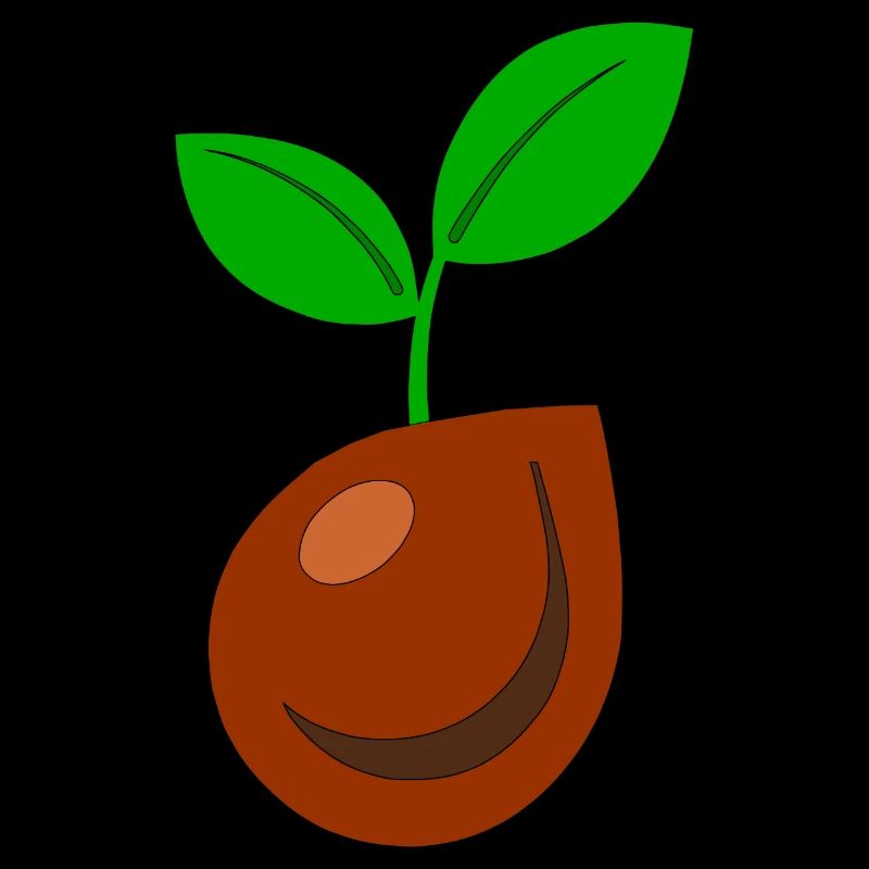 Graines de plantes