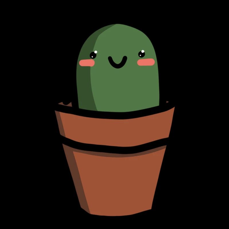 kaktus