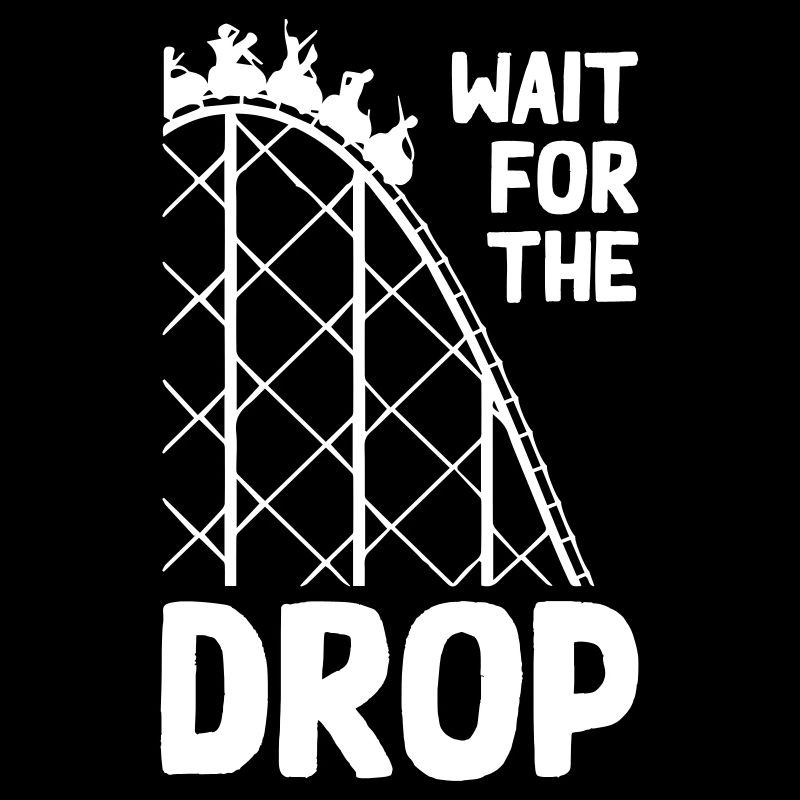 Wait For The Drop Roller Coaster