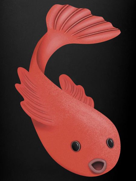 goldfish