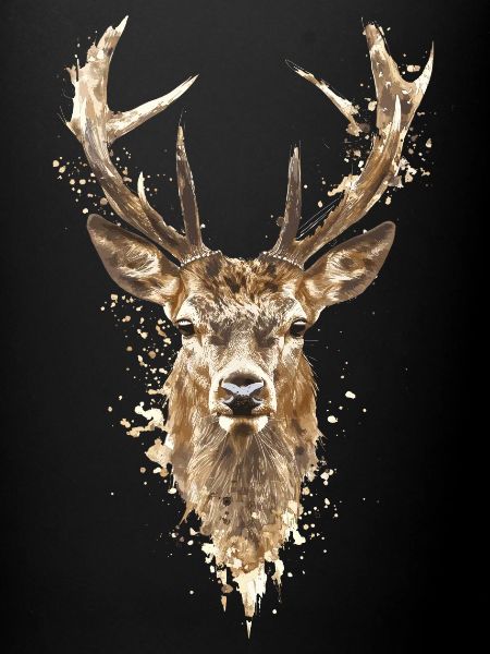 Chasse Chasse au chevreuil