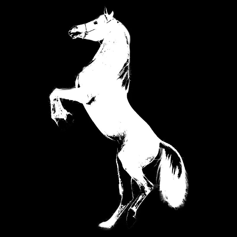 Stallion