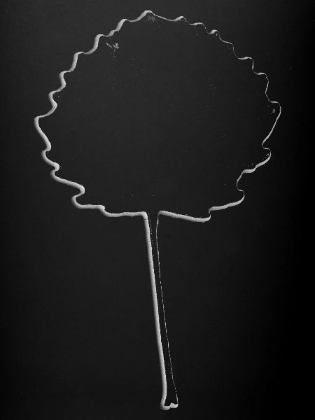 Leaf Tree