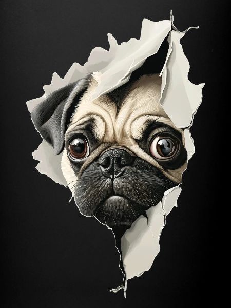 Mops