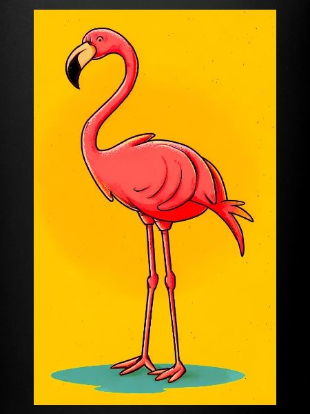 Flamingo