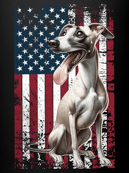 Whippet US Windhund