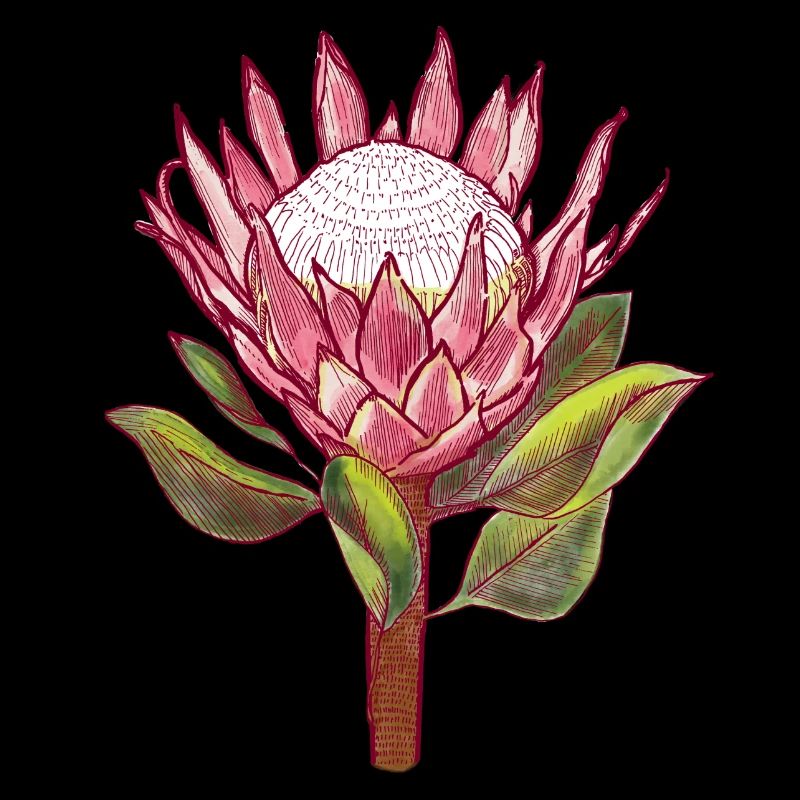 Protea