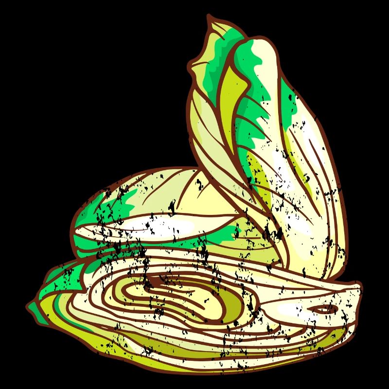 Chicorée radicchio vintage rétro grunge