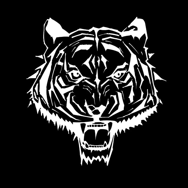 Roaring Tiger – TEAM28 Style