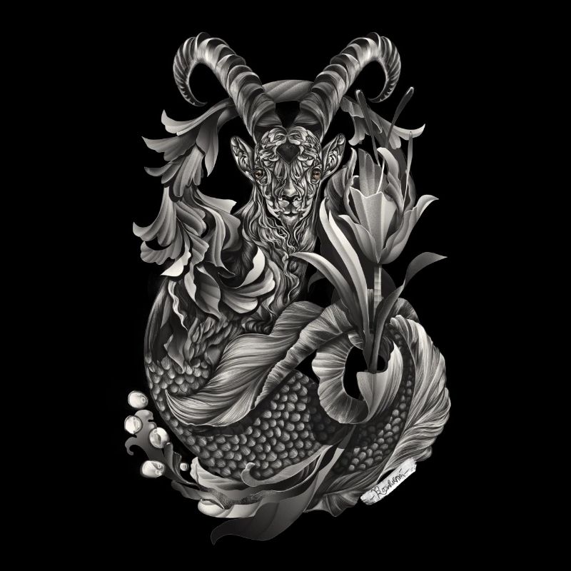 Steinbock Sternzeichen