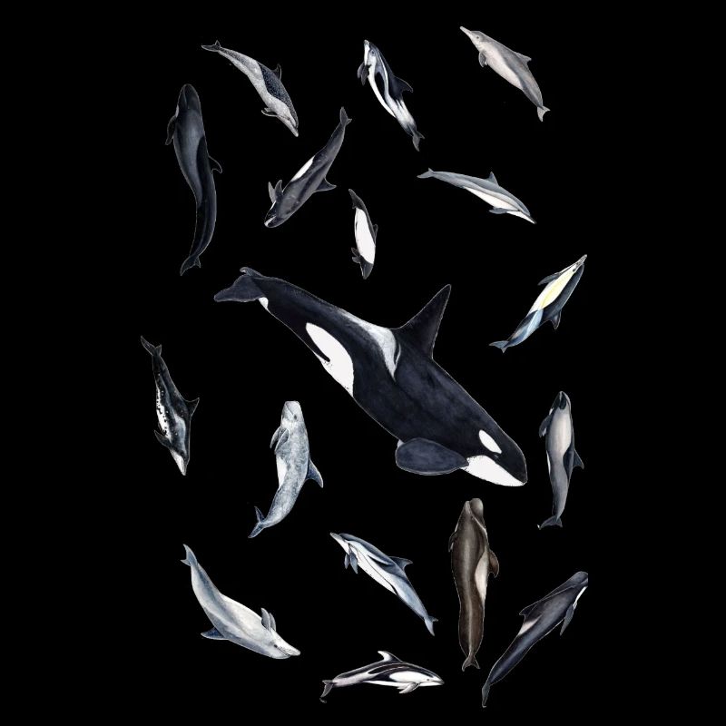 Dolphins and orca - Dolphins all around - Dauphins