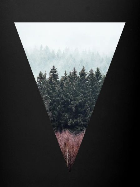 Triangle forestier