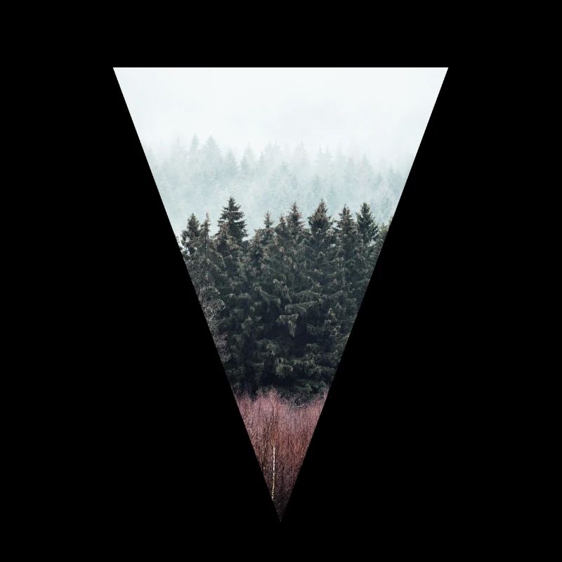 Triangle forestier