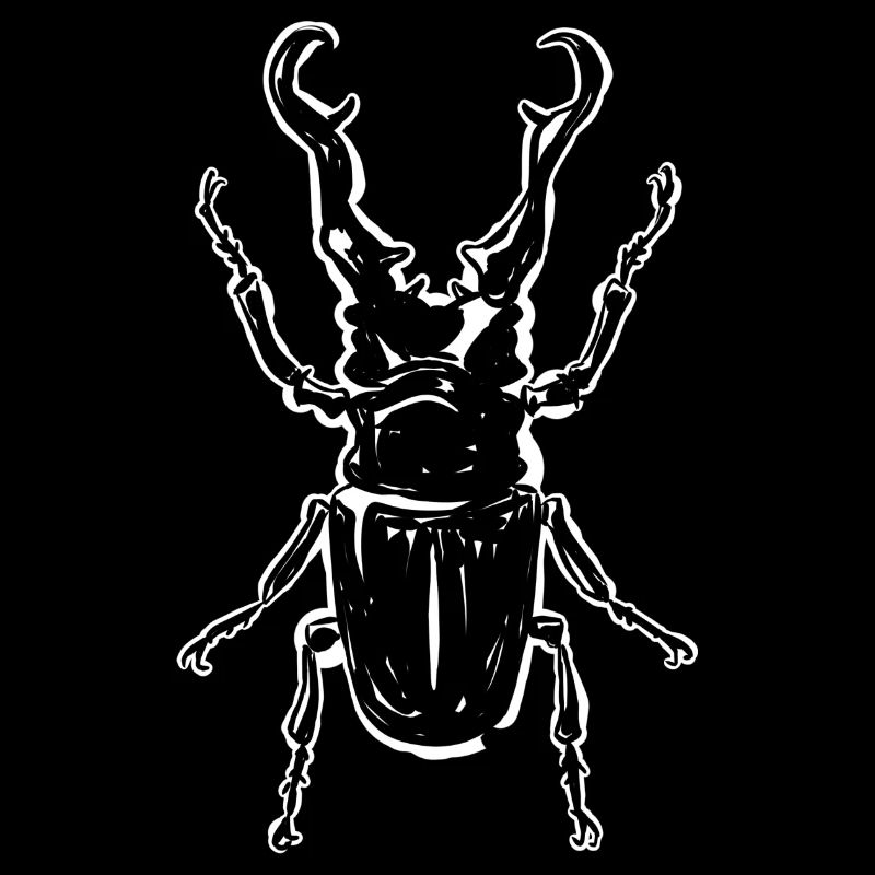 Coléoptère avec marge