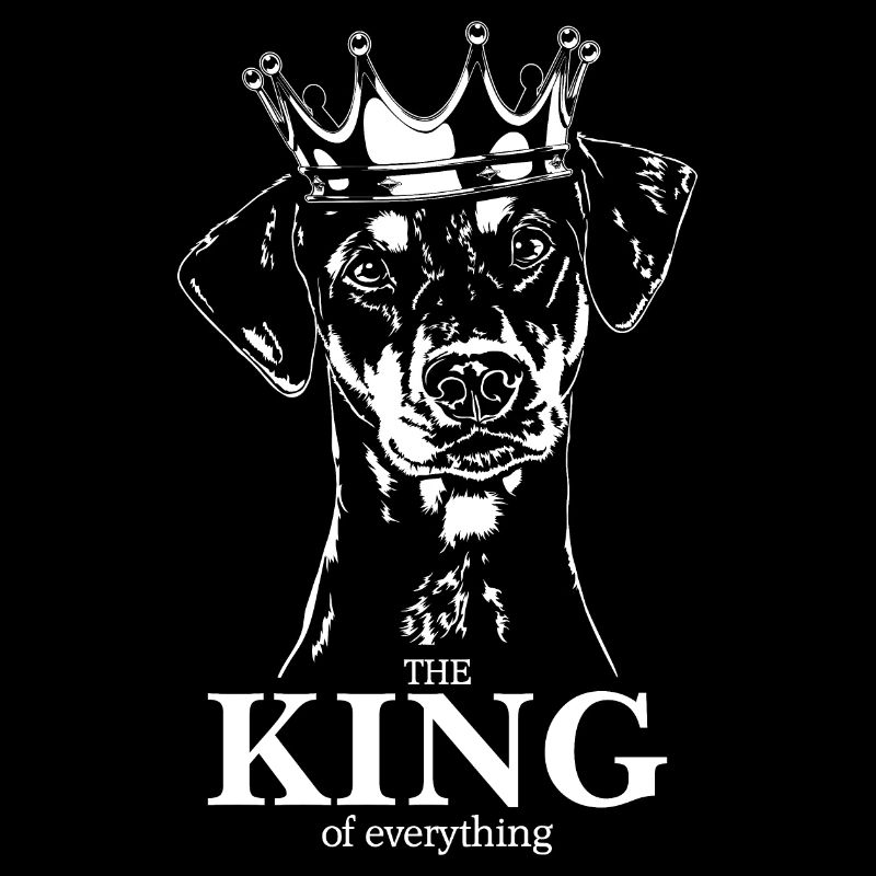 Pinscher allemand roi de tout Wilsign