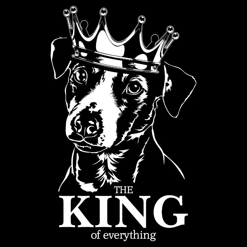 Jack Russell Terrier King of everything Hunde