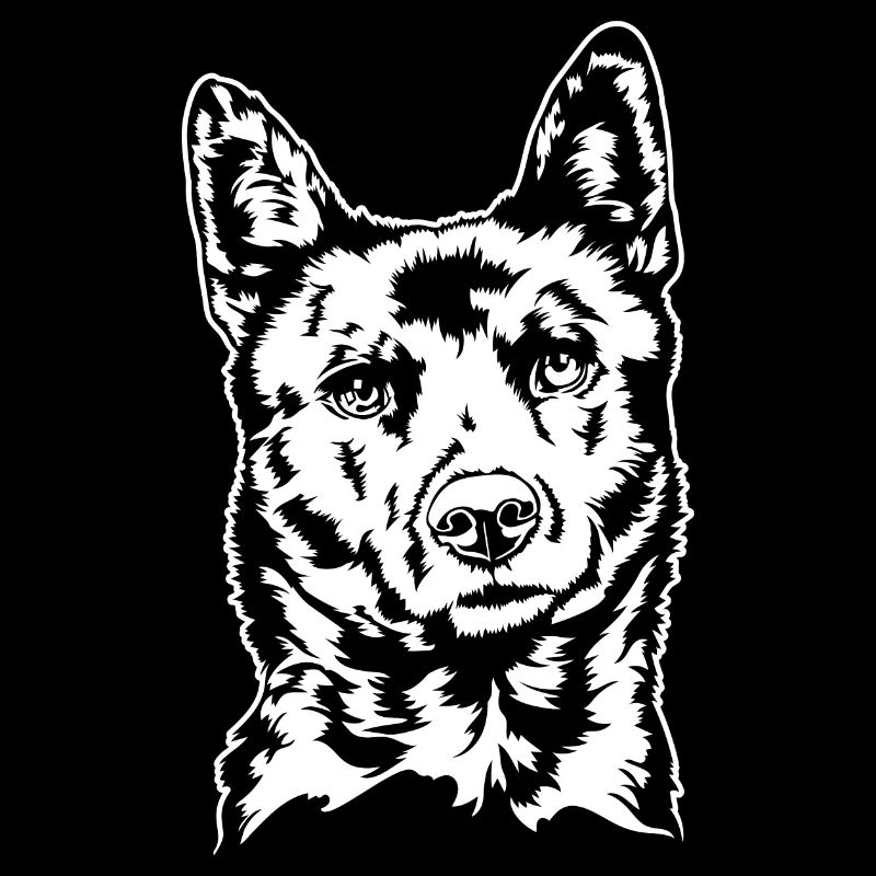 Kai Ken Portrait Dogs Dog Wilsigns