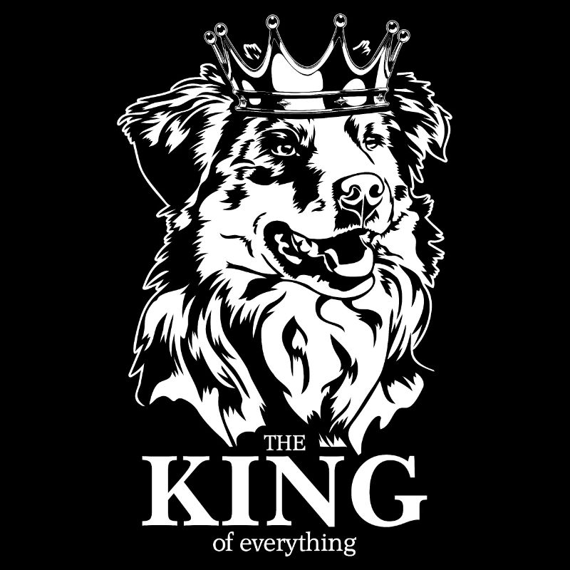 Australian Shepherd King of everything Wilsigns