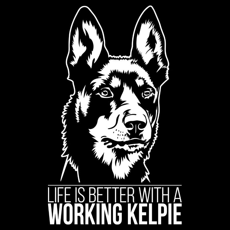 La vie de Kelpie au travail est meilleure Chiens Wilsigns