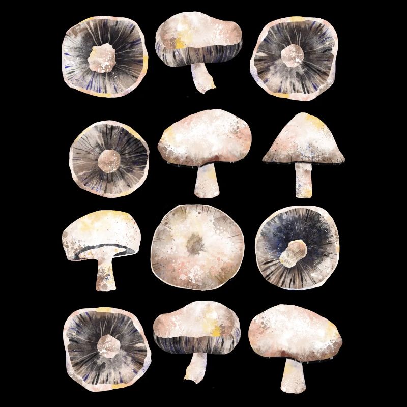 Champignons