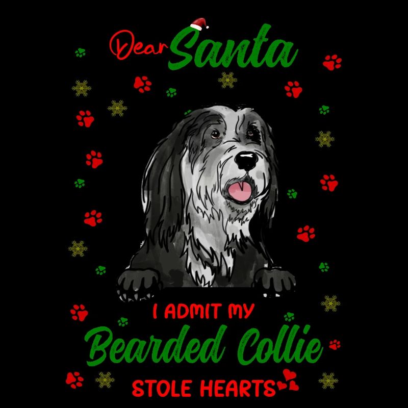 Bearded Collie Hund Weihnachten Hunderasse