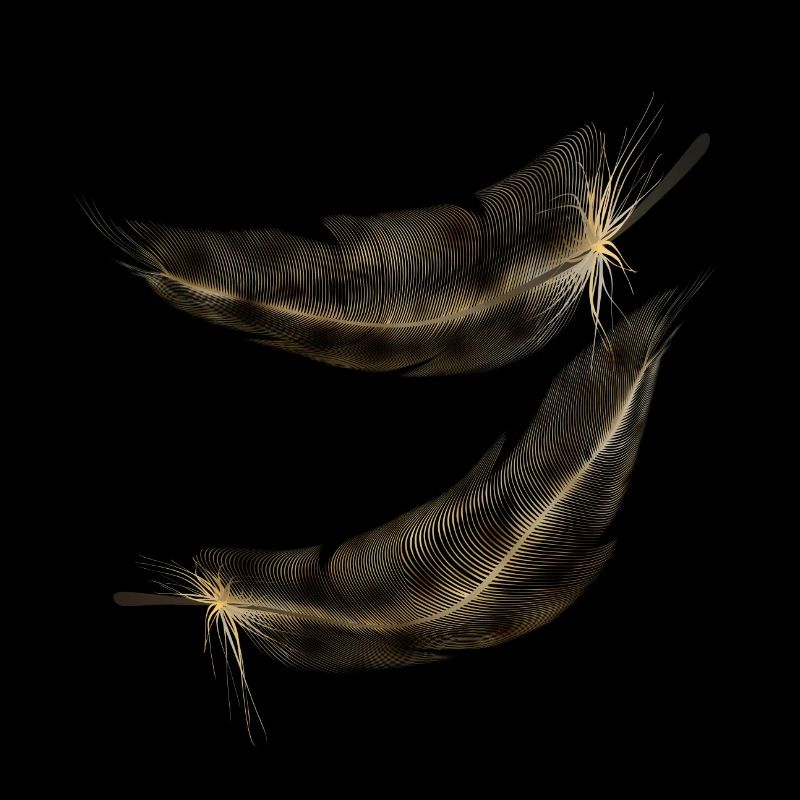 plumes teinte marron