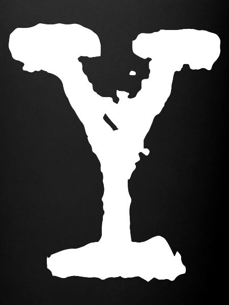 Y