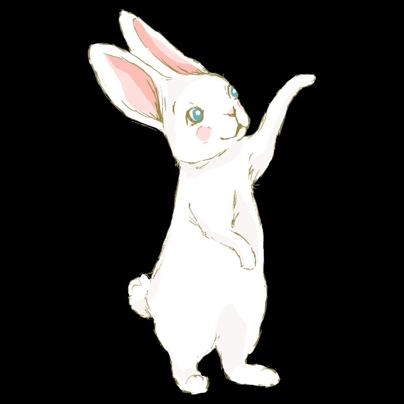 Hase