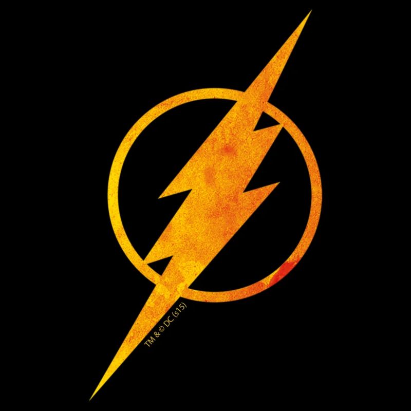 Flash Logo vintage