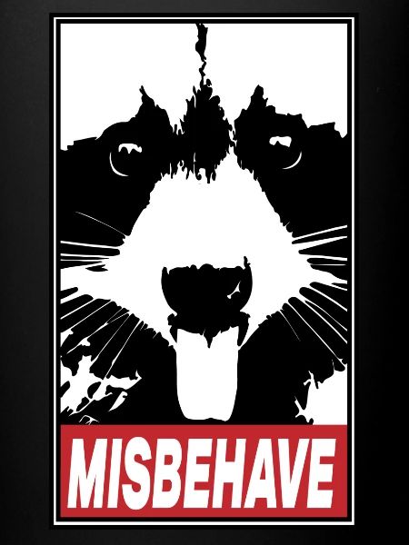 Racoon Misbehave