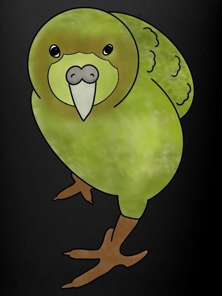 Kakapo