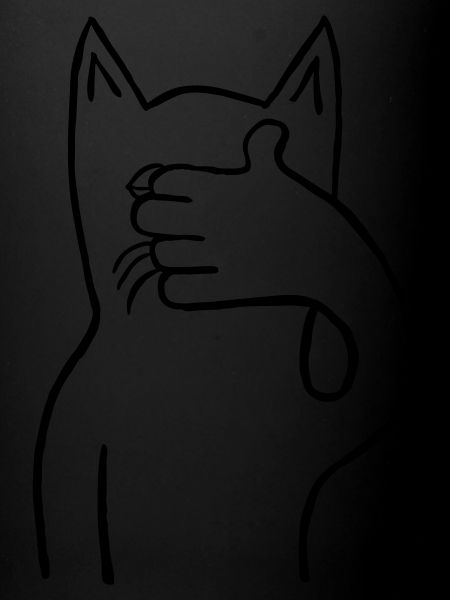 Chat/Chat *garde des yeux*