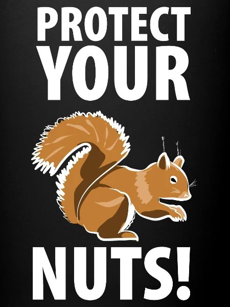 Squirrel Eichhörnchen Dieb Tierpfleger