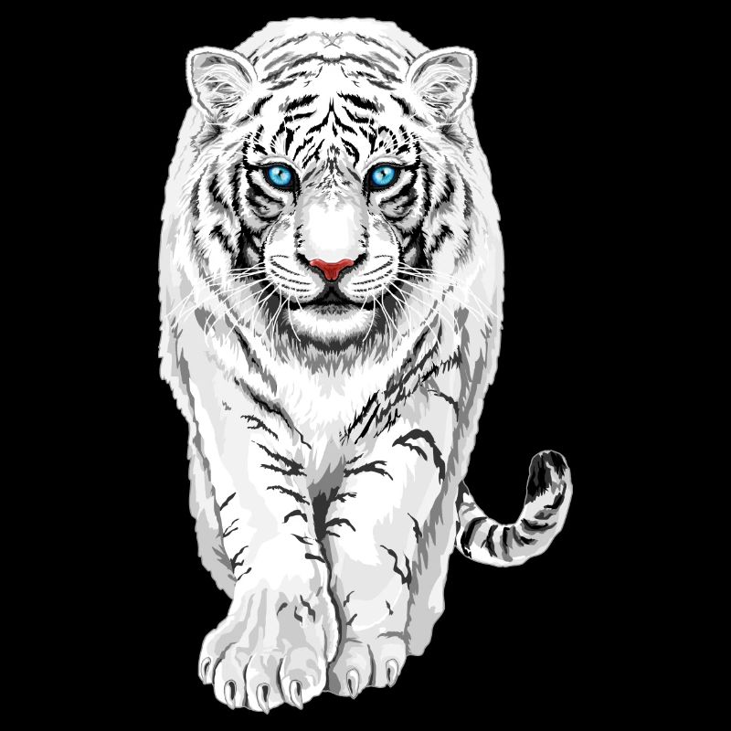 Tigre blanc