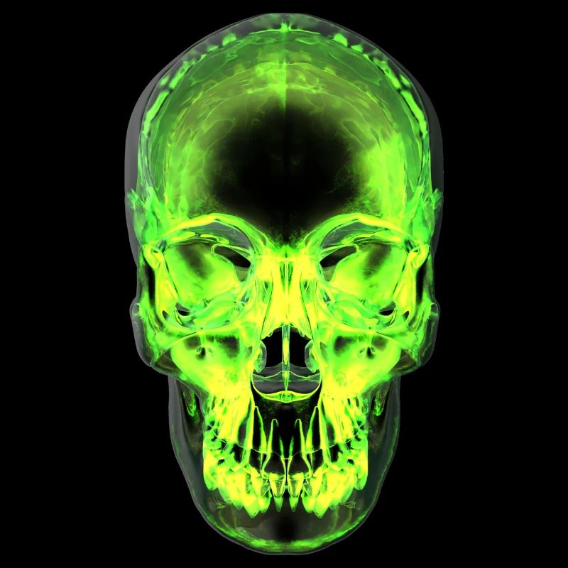 skull