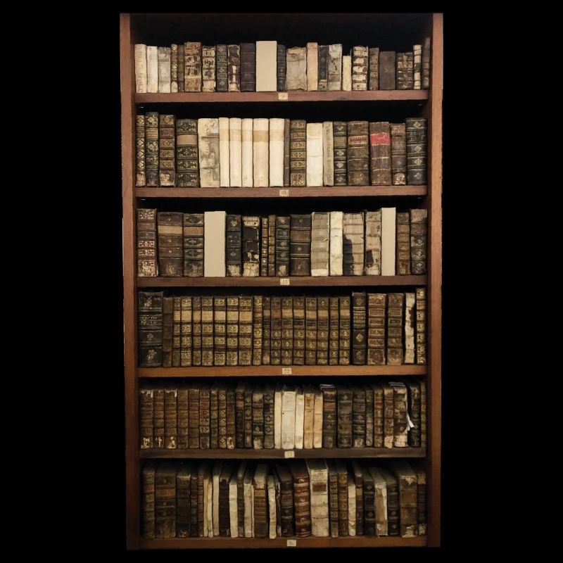 Bücherregal