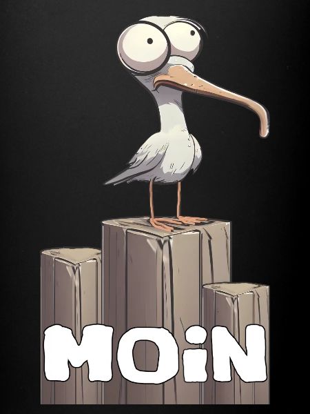 Möwe moin