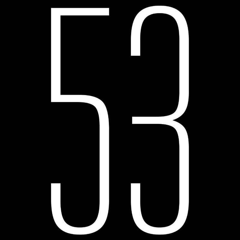 53